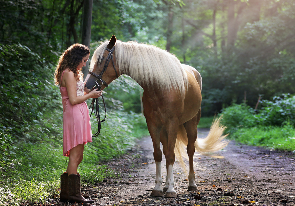 Horses are undoubtedly some of the most beautiful, Majestic, and Elegant creatures on earth