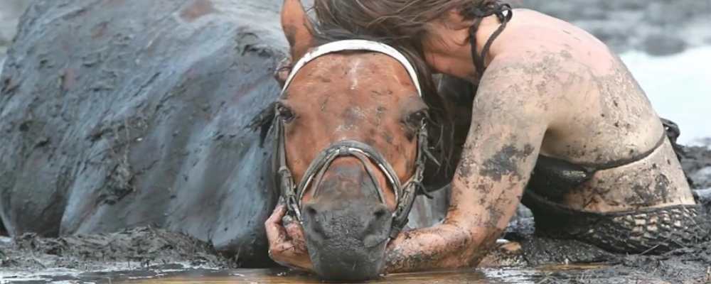 The horse was sinking in mud and couldn’t get out...His owner fought for him for three hours…