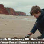 Elephant Tooth Discovery UK